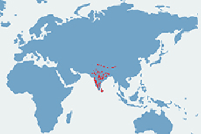 Wargacz leniwy - mapa występowania na świecie