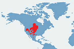 Widłoróg, antylopa widłoroga - mapa występowania na świecie
