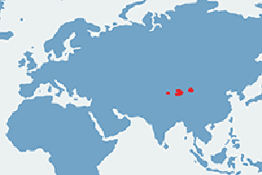 Wielbłąd dwugarbny – mapa występowania na świecie