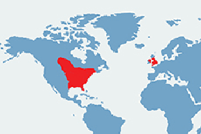Wiewiórka szara - mapa występowania na świecie