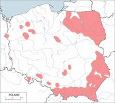 Wilk szary - mapa występowania w Polsce