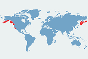 Kałan morski - mapa występowania na świecie