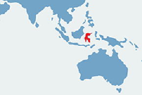 Wyrak upiór - mapa występowania na świecie