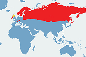 Zając bielak - mapa występowania na świecie