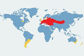 Zając szarak – mapa występowania na świecie