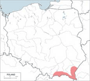 Żbik europejski - mapa występowania w Polsce