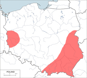 Zębiełek białawy - mapa występowania w Polsce
