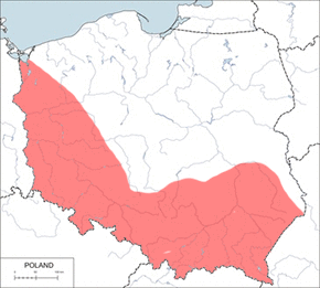 Zębiełek karliczek - mapa występowania w Polsce