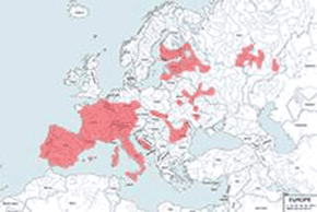Żołędnica europejska - mapa występowania na świecie