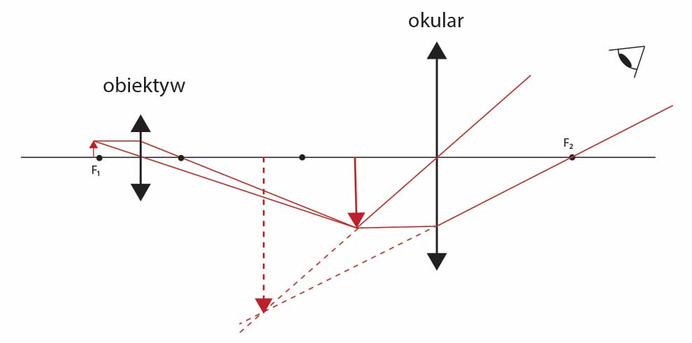 Bieg promieni swiatła w mikroskopie