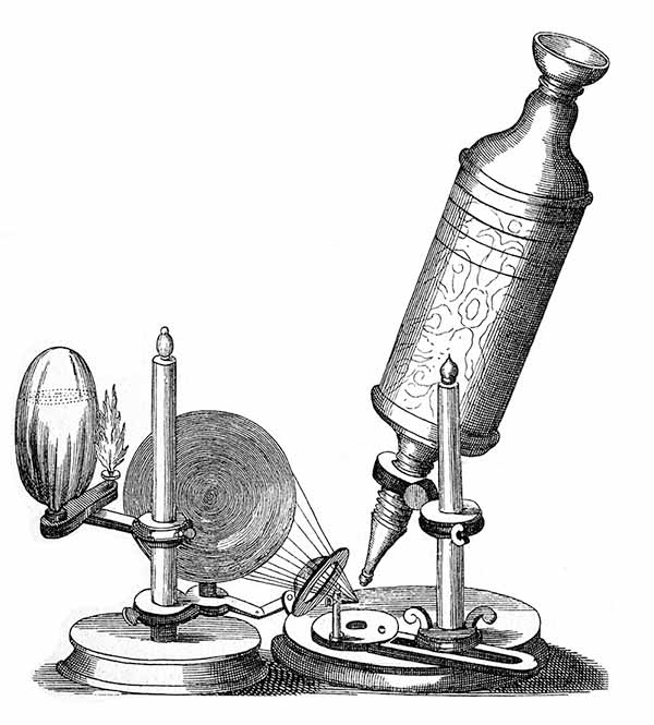 Mikroskop Roberta Hokke'a