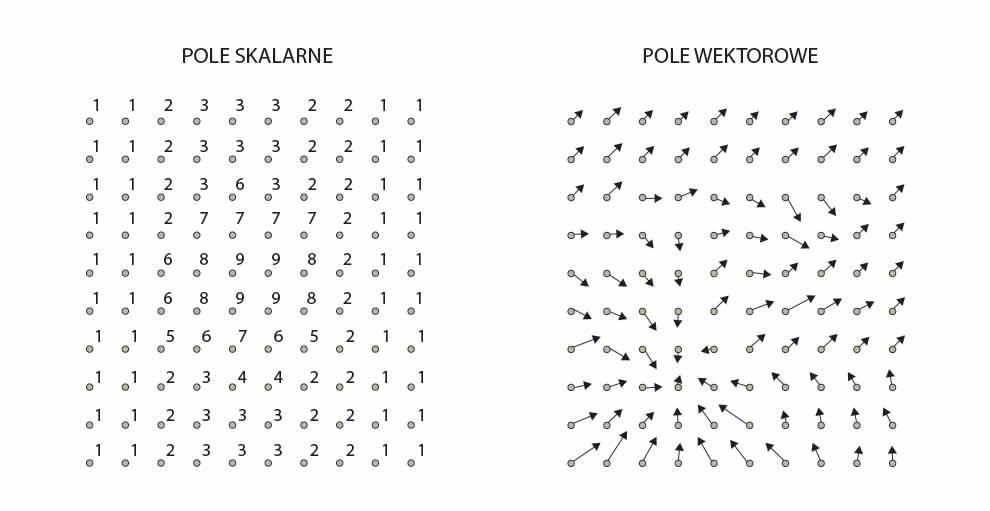 Pole skalarne i wektorowe