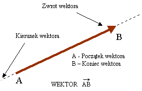 wektor - ilustracja