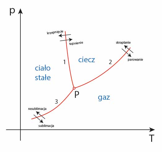 diagram fazowy, wykres równowagi fazowej