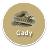 Gady - ikona