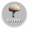 Grzyby - ikona