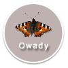 Owady - ikona