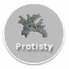 Protisty - ikona