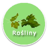 Rośliny - ikona