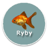 Ryby - ikona