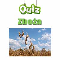Quiz
