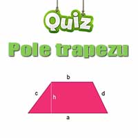 Quiz