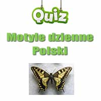 Quiz