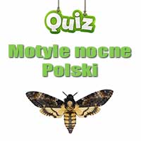 Quiz