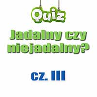 Quiz