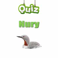 Quiz