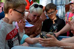 Dreamnight 2017, ZOO Wrocław