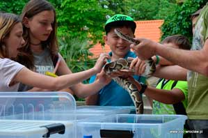 Dreamnight 2017, ZOO Wrocław