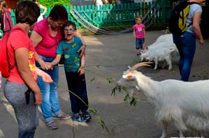 Dreamnight 2017, ZOO Wrocław