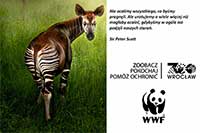 Raport WWF