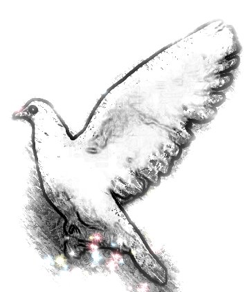 Ilustracja