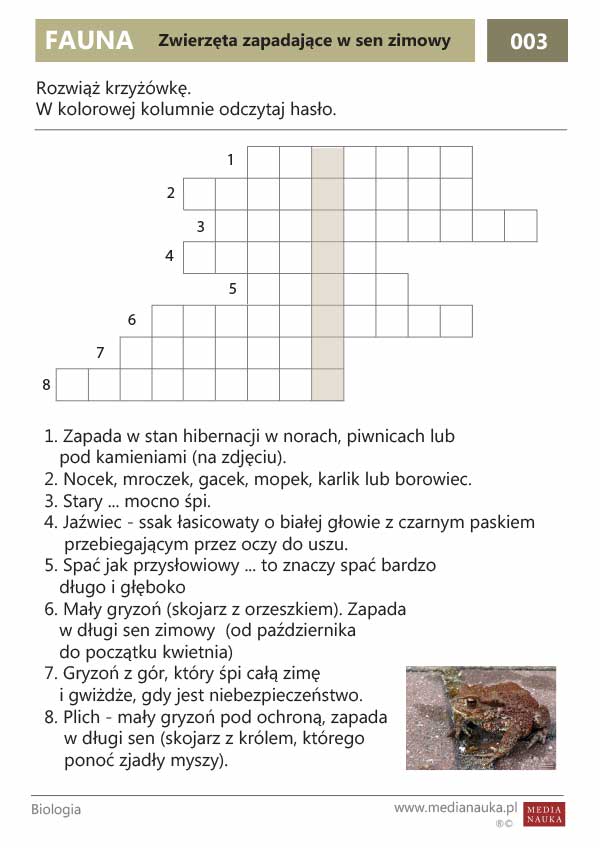 Karta pracy Zwierzęta zapadające w sen zimowy