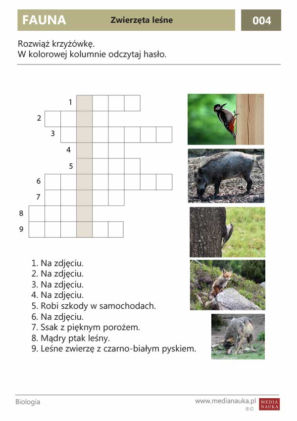 Karta pracy Zwierzęta leśne