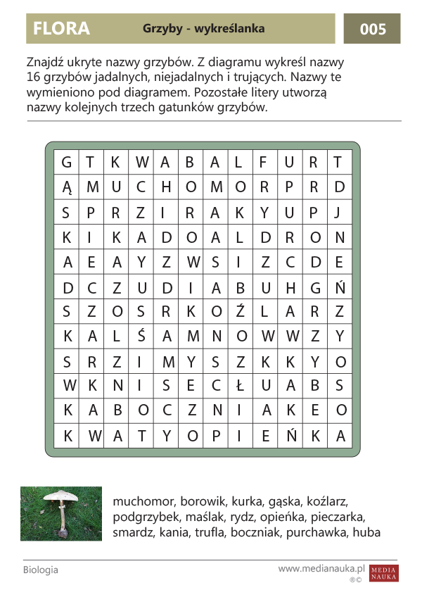 Karta pracy Wykreślanka - grzyby