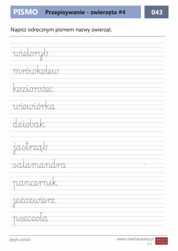 Karta pracy Przepisywanie wyrazów - zwierzęta #4