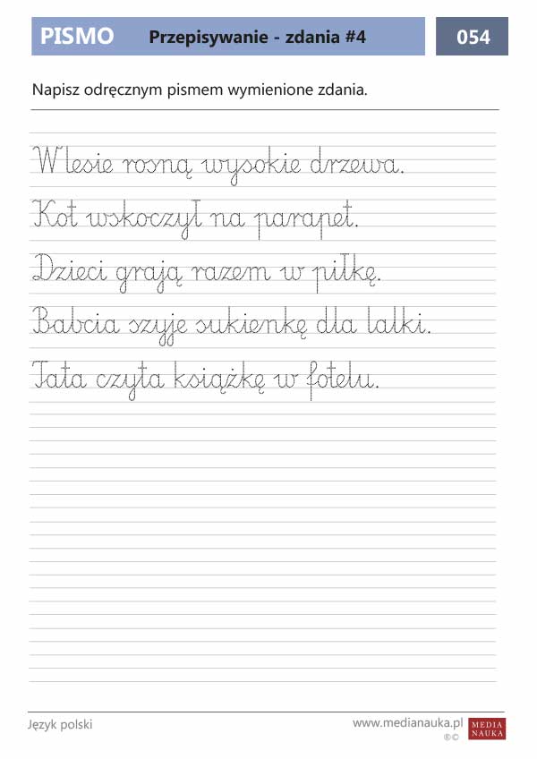 Karta pracy Przepisywanie - zdania #4