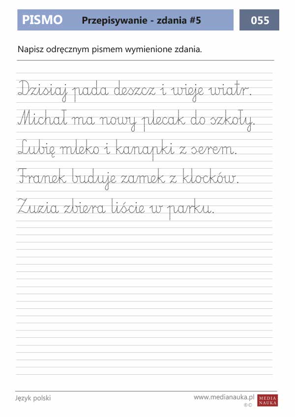 Karta pracy Przepisywanie - zdania #5