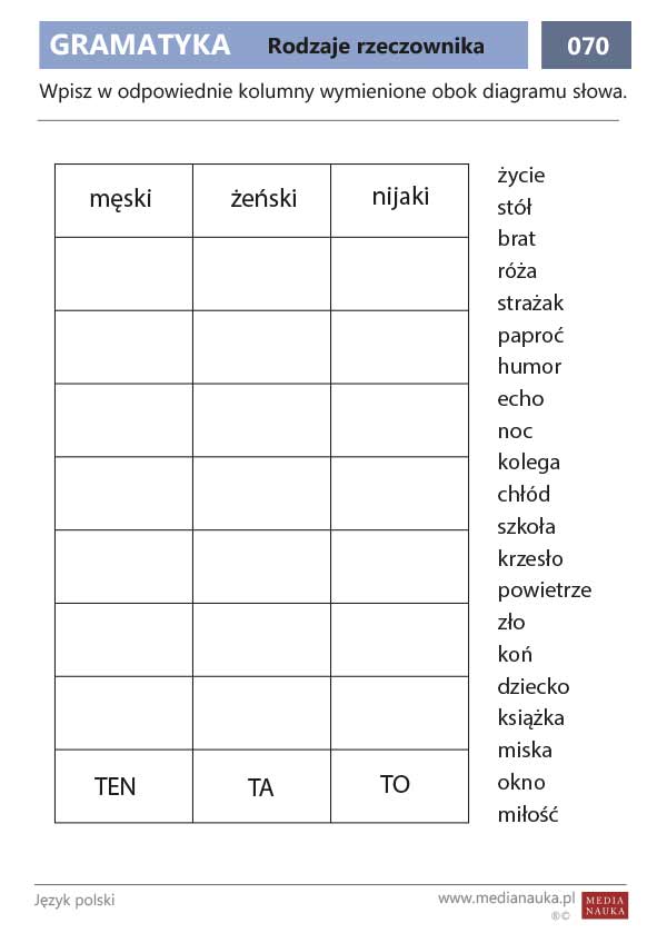 Karta pracy Rodzaje rzeczownika