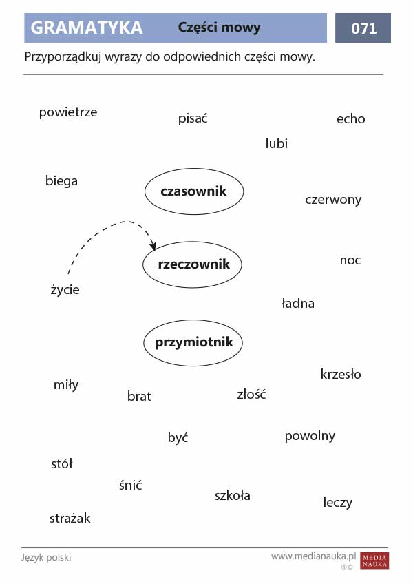 Karta pracy Części mowy