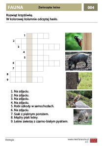 Zwierzęta leśne