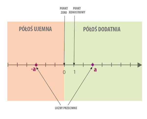 oś liczbowa