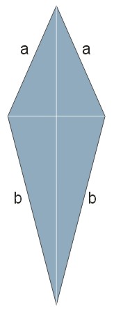 deltoid