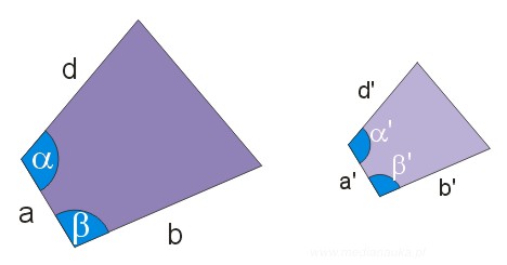 Cecha podobieństwa wielokątów