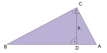 trójkąt prostokątny